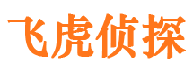 凌河市婚外情调查